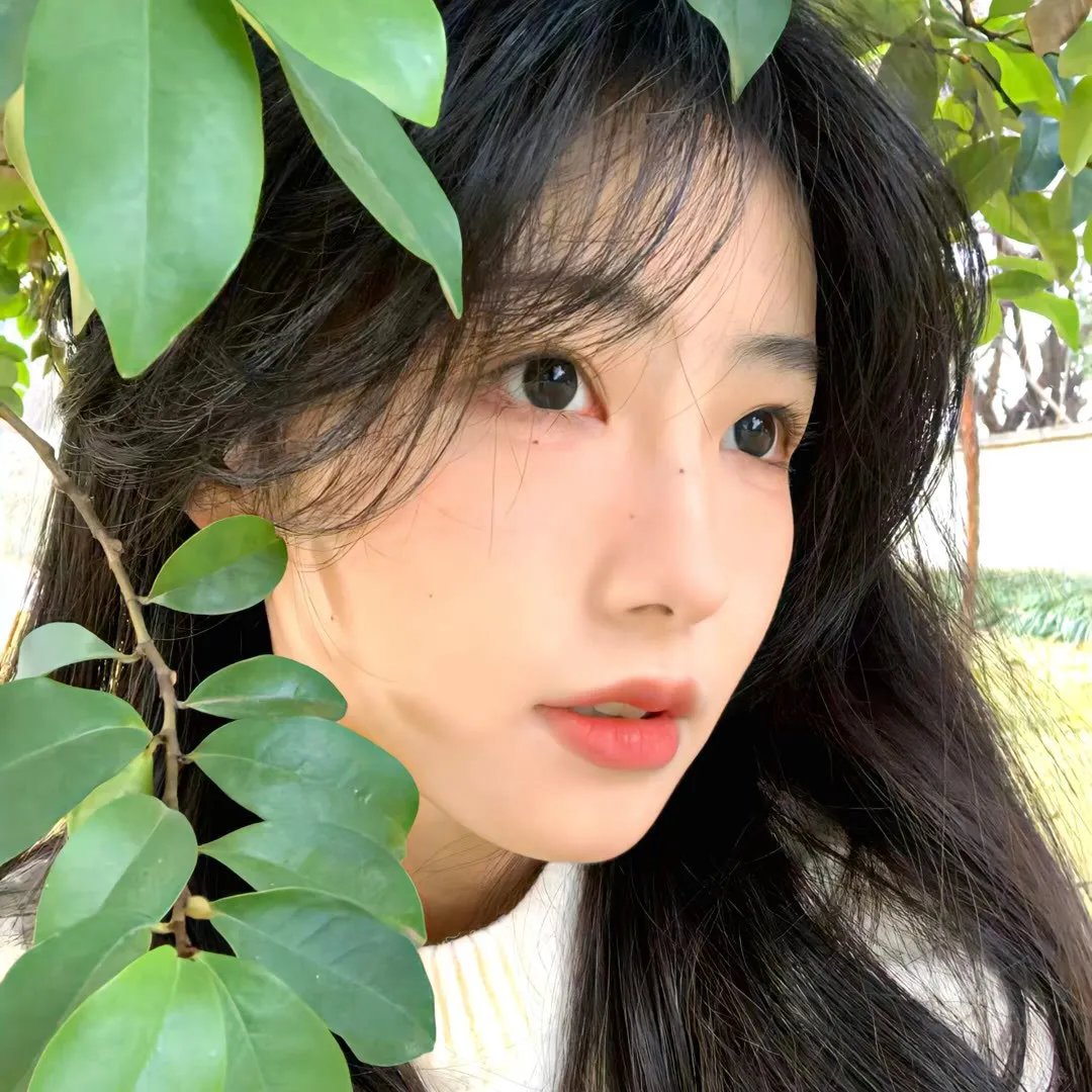 乘风破浪